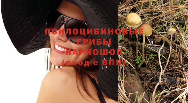 МДПВ Абдулино