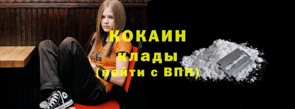 дживик Дмитриев