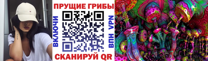 наркотики  Тарко-Сале  Псилоцибиновые грибы ЛСД 